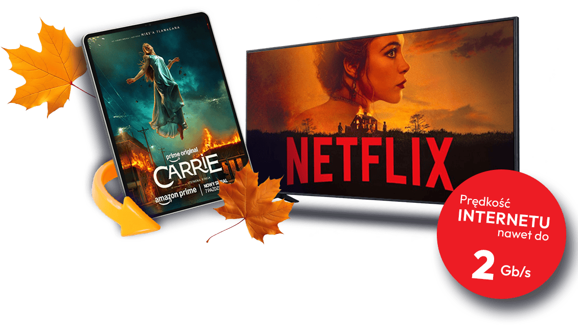 Netflix, 2 Gb internetu